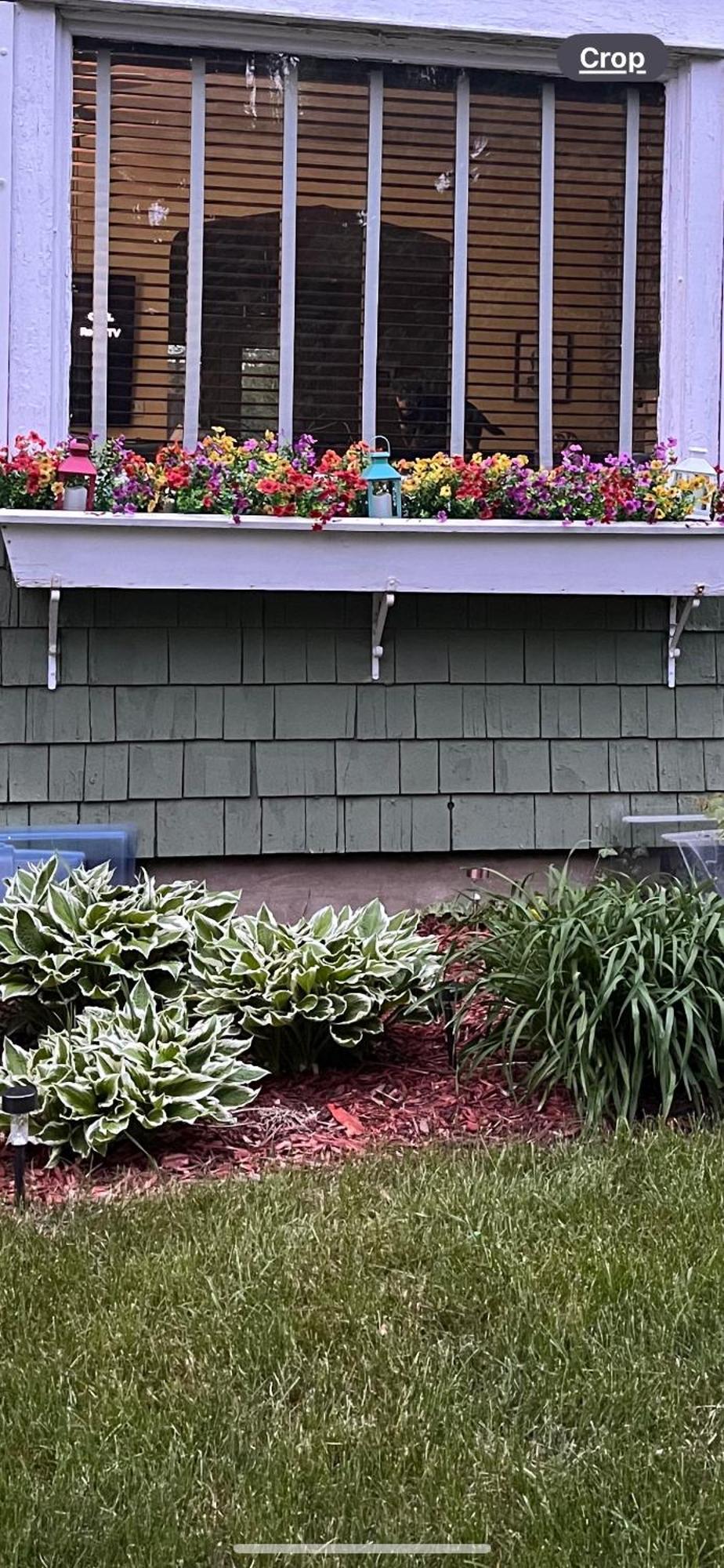 Cozy Cape Cod Villa Grand Rapids Kültér fotó